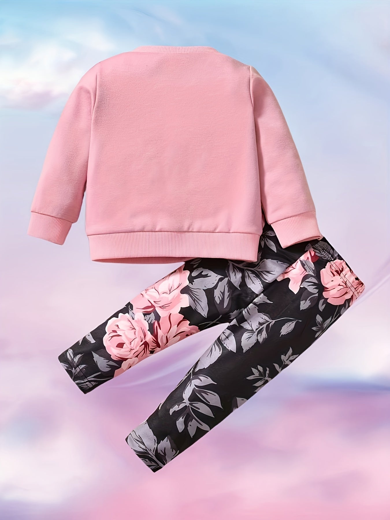 Baby Girls Trendy Casual Outfit, LITTLE PRINCESS Print Sweatshirt Floral Pants Set